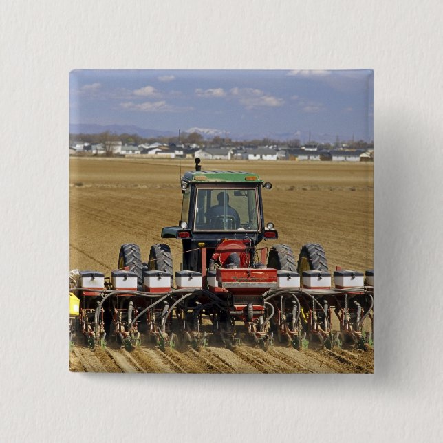 Tractor pulling a seed corn planter. pinback button (Front)
