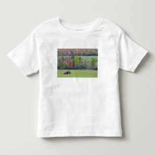 Tractor with hay bale in green field with toddler t-shirt