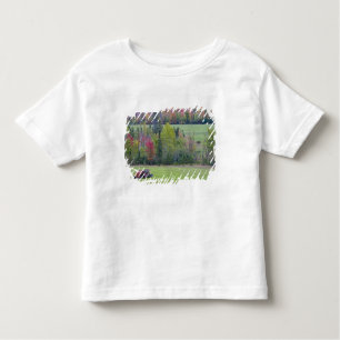 Tractor with hay bale in green field with toddler t-shirt