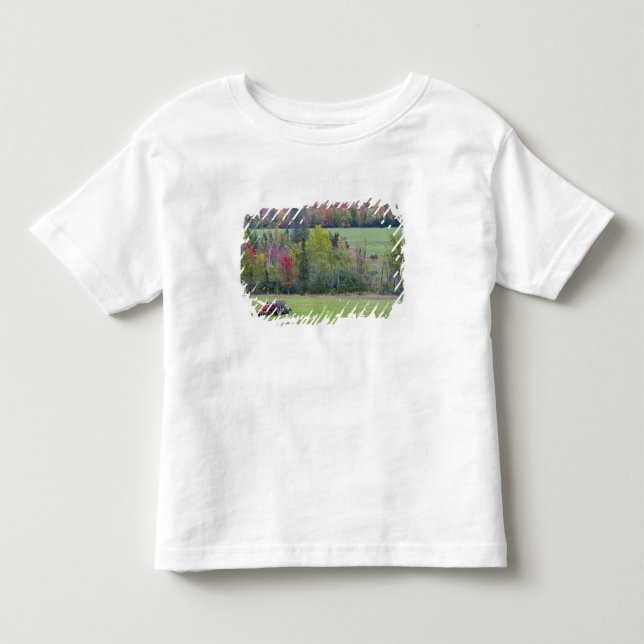 Tractor with hay bale in green field with toddler t-shirt (Front)