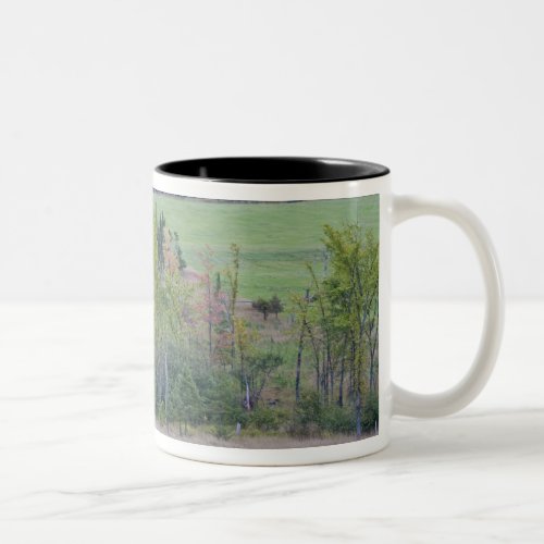 Tractor with hay bale in green field with Two_Tone coffee mug