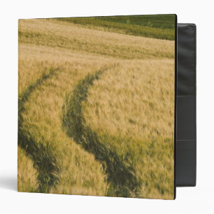 Tractors tracks through wheat, Tuscany, Italy 3 Ring Binder