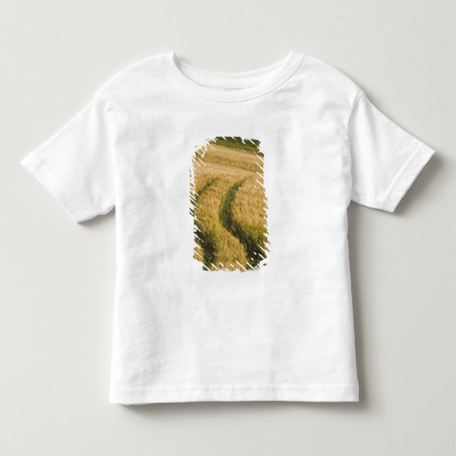 Tractors tracks through wheat, Tuscany, Italy Toddler T-shirt (Front)