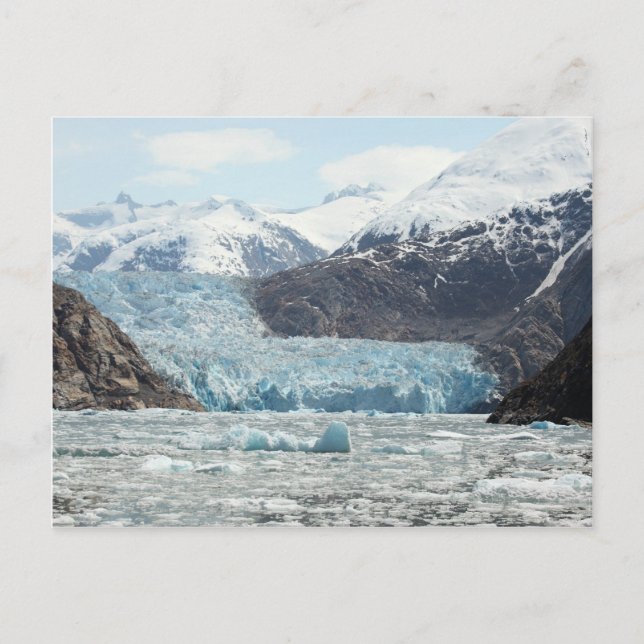 Tracy Arm Fjord Postcard (Front)