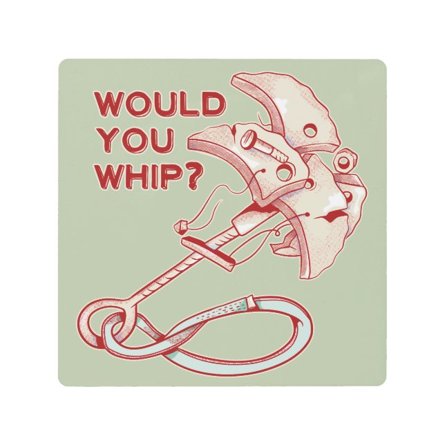 TRAD CLIMBING WHIPPER FALL METAL PRINT (Front)