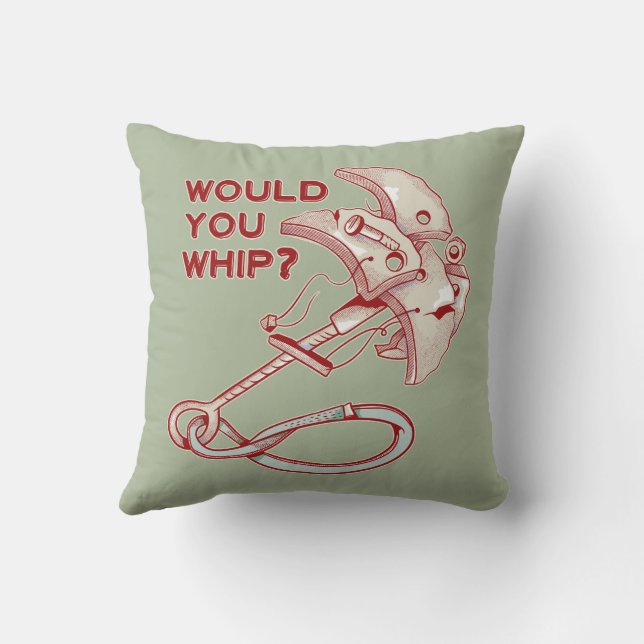 TRAD CLIMBING WHIPPER FALL THROW PILLOW (Back)