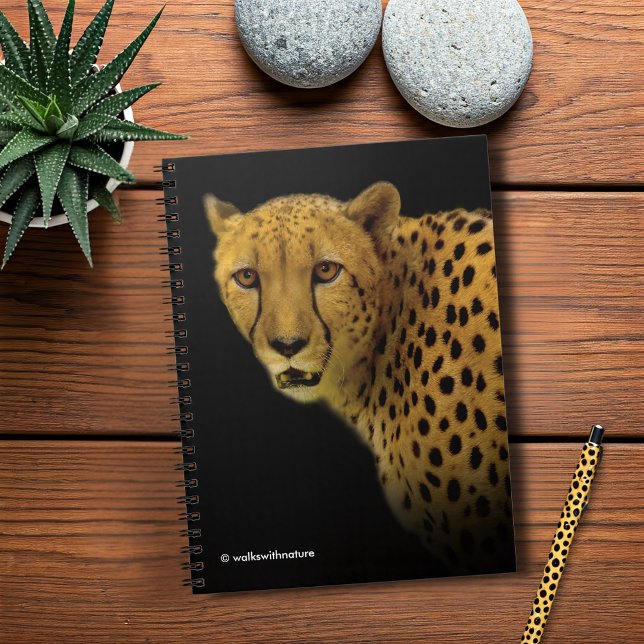 Trading Glances with a Magnificent Cheetah Notebook (Trading Glances with a Magnificent Cheetah Journal Cover Photo)