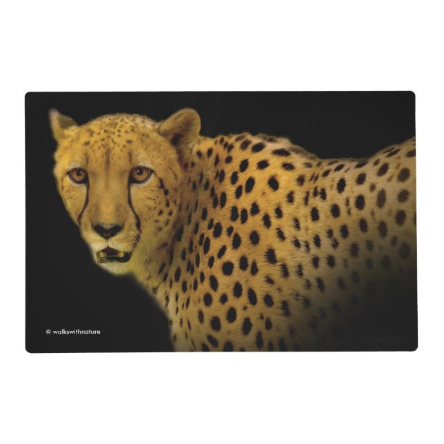Trading Glances with a Magnificent Cheetah Placemat (Front)