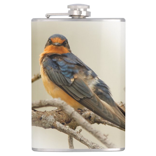 Trading Stares with a Barn Swallow Flask (Front)