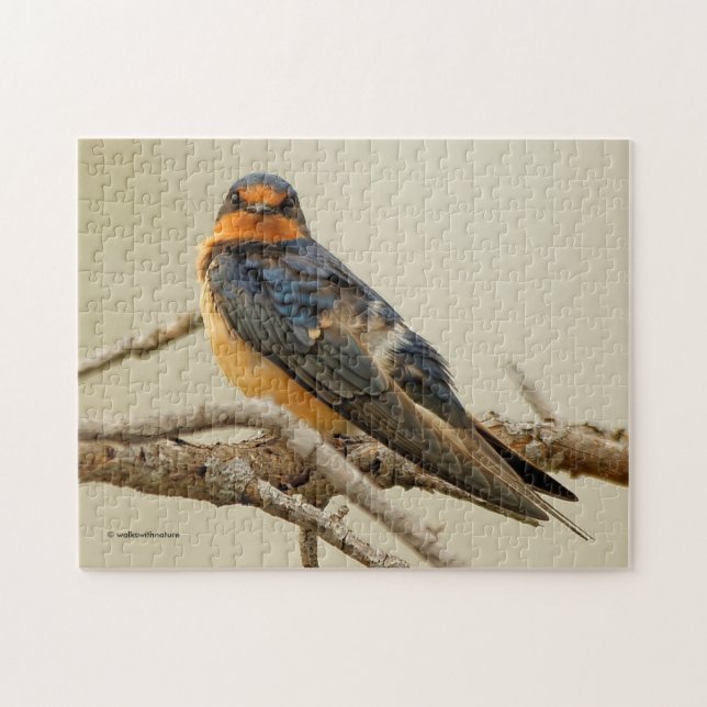 Trading Stares with a Barn Swallow Jigsaw Puzzle (Horizontal)