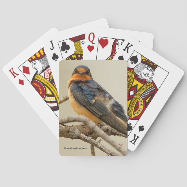 Trading Stares with a Barn Swallow Poker Cards (Back)
