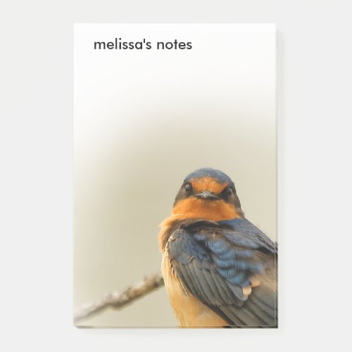 Trading Stares with Stunning Barn Swallow Songbird Post_it Notes