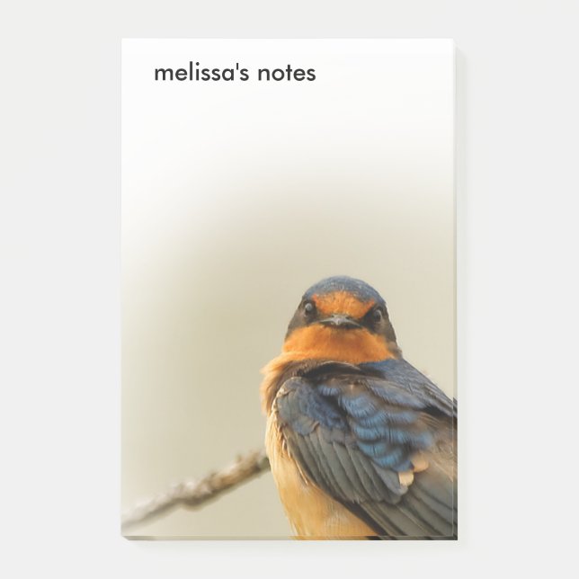 Trading Stares with Stunning Barn Swallow Songbird Post-it Notes (Front)