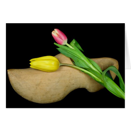 Tradition (Front Horizontal)