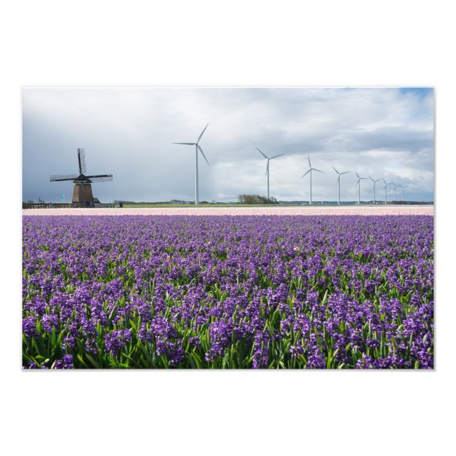 Traditional and modern windmill in Holland print (Front)