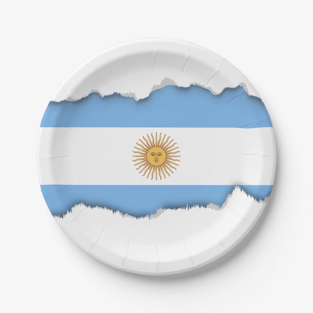 Traditional Argentina Flag Paper Plates (Front)