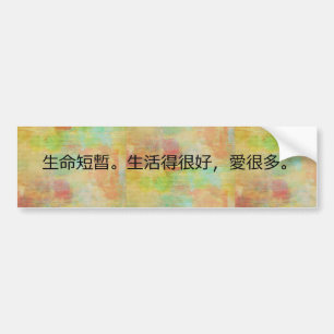 Traditional Chinese- Life is Short Bumper Sticker