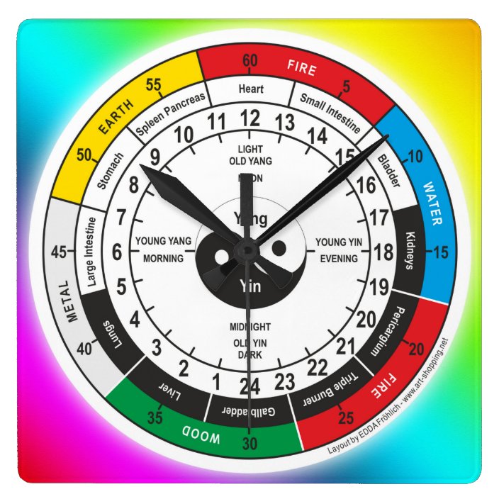 Traditional Chinese Medicine Body Clock | Zazzle.com