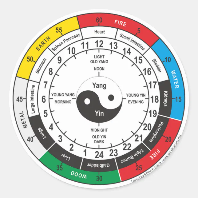 Traditional Chinese Medicine Body Clock Classic Round Sticker | Zazzle