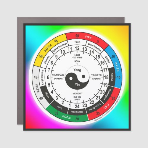 Traditional Chinese Medicine Body Clock Mug Bevera Car Magnet