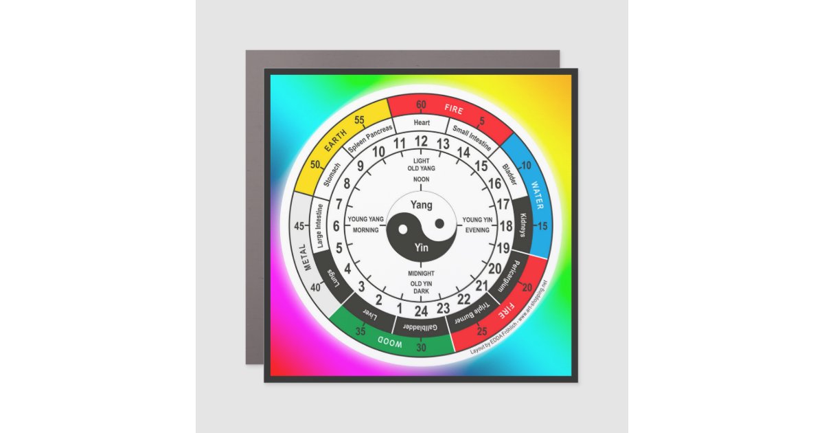 Traditional Chinese Medicine Body Clock Mug Bevera Car Magnet | Zazzle