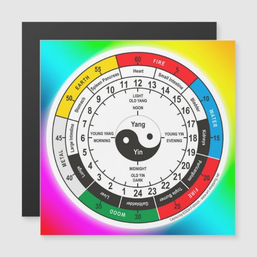 Traditional Chinese Medicine Body Clock Square Sti (Front/Back)