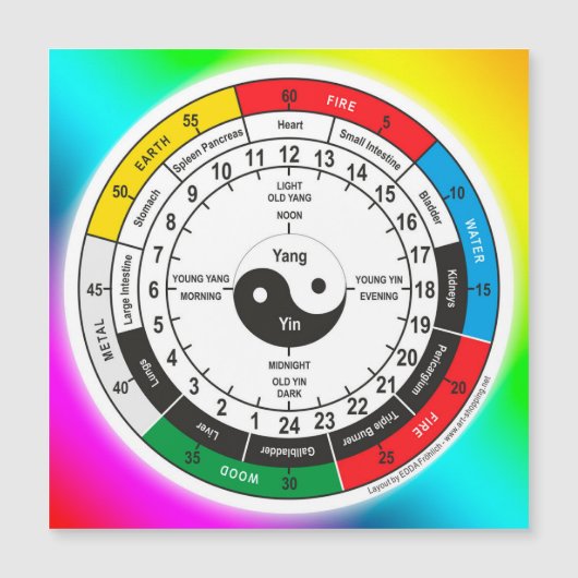Traditional Chinese Medicine Body Clock Square Sti (Front)