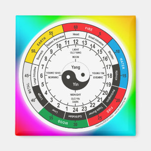 Traditional Chinese Medicine Body Clock Square Sti Magnet