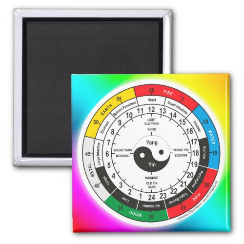 Traditional Chinese Medicine Body Clock Square Sti Magnet