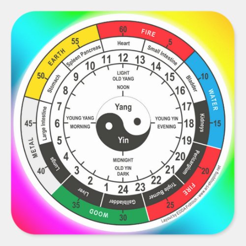 Traditional Chinese Medicine Body Clock Square Sticker