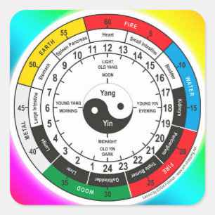 Traditional Chinese Medicine Body Clock Square Sticker