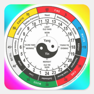 Traditional Chinese Medicine Body Clock Square Sticker