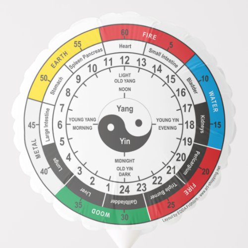 Traditional Chinese Medicine Body Clock T_Shirt Sh Balloon
