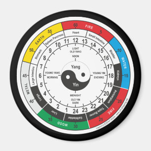 Traditional Chinese Medicine Body Clock T-Shirt Sh Magnet