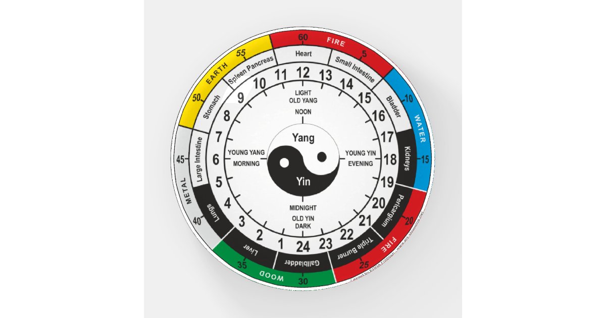 Traditional Chinese Medicine Body Clock T-Shirt Sh Paperweight | Zazzle