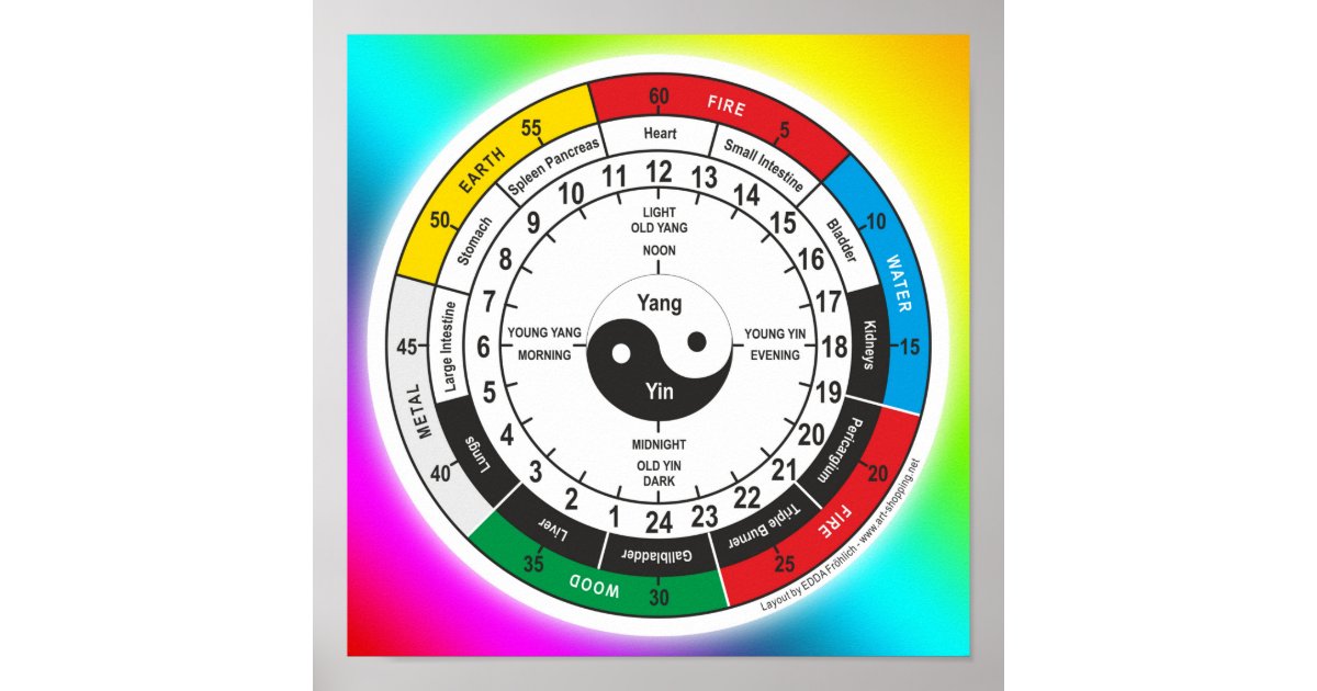 Traditional Chinese Medicine Body Clock T-Shirt Sh Poster | Zazzle