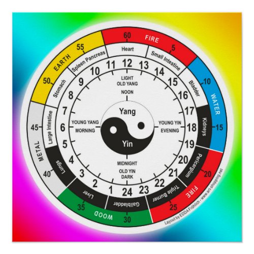 Traditional Chinese Medicine Body Clock T_Shirt Sh Poster