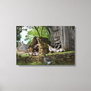 Traditional foie gras goose farm canvas print