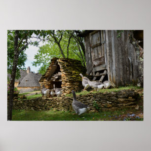 Traditional foie gras goose farm poster