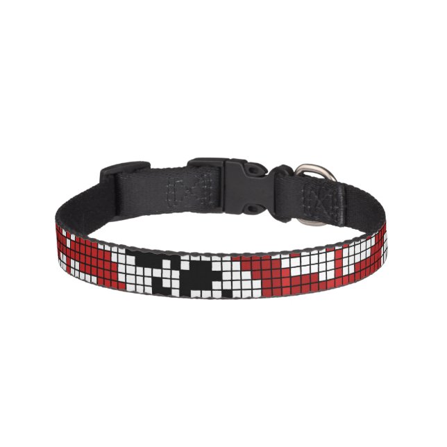 Traditional  pet collar (Front)