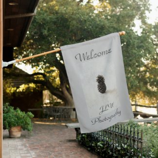 Traditional Pineapple Welcome Gray Outdoor