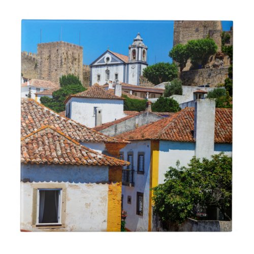 Traditional Red Roof Houses  Portugal Ceramic Tile