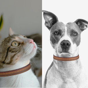 Traditional Terracotta Ethnic Tribal Boho Pattern Pet Collar