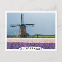 Traditional windmill with pink and purple flowers