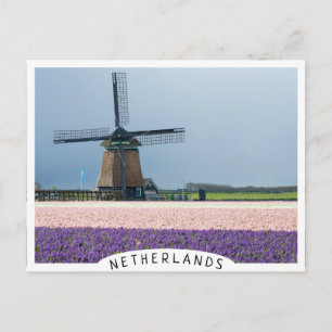 Traditional windmill with pink and purple flowers postcard