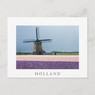 Traditional windmill with pink and purple flowers postcard