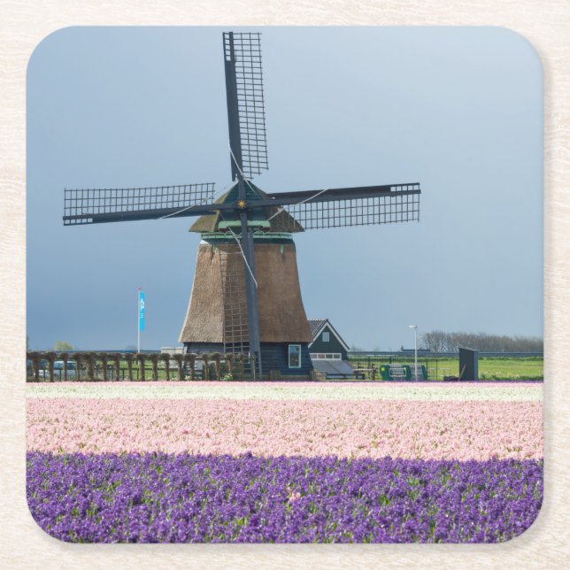 Traditional windmill with pink and purple flowers square paper coaster (Front)