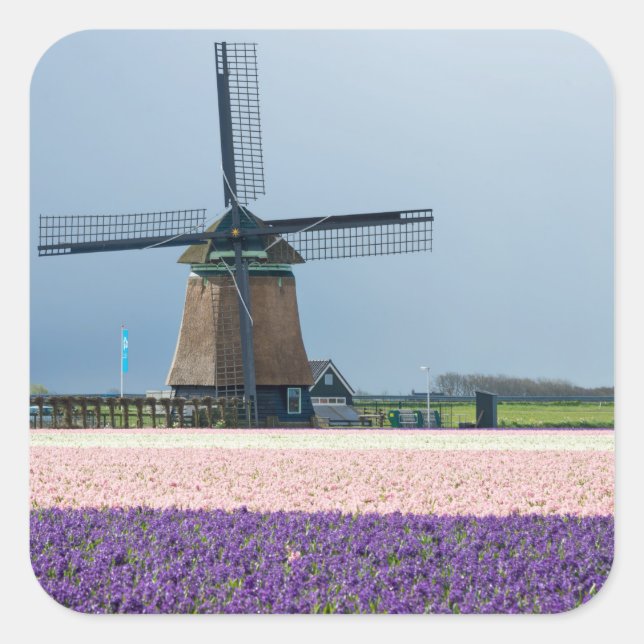 Traditional windmill with pink and purple flowers square sticker (Front)