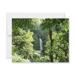 Trafalgar Falls Tropical Rainforest Photography