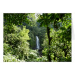 Trafalgar Falls Tropical Rainforest Photography